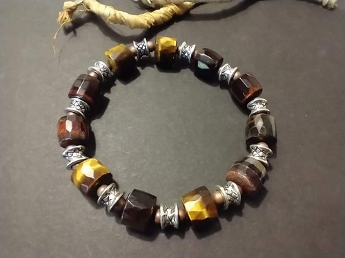 tigers eye south africa